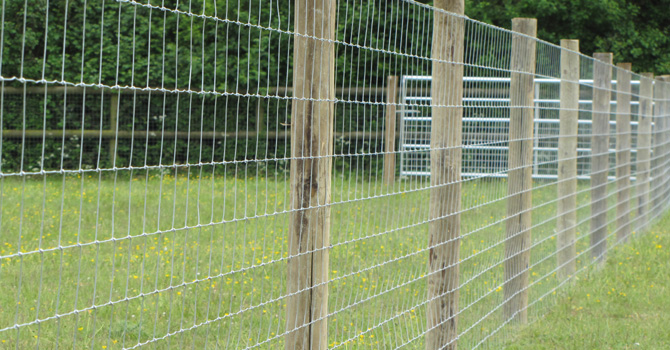 Field Fence, Hinge Joint Fence, Sheep Fence, Goat Fence, Farm Wire Fence, Hinge Joint Wire
